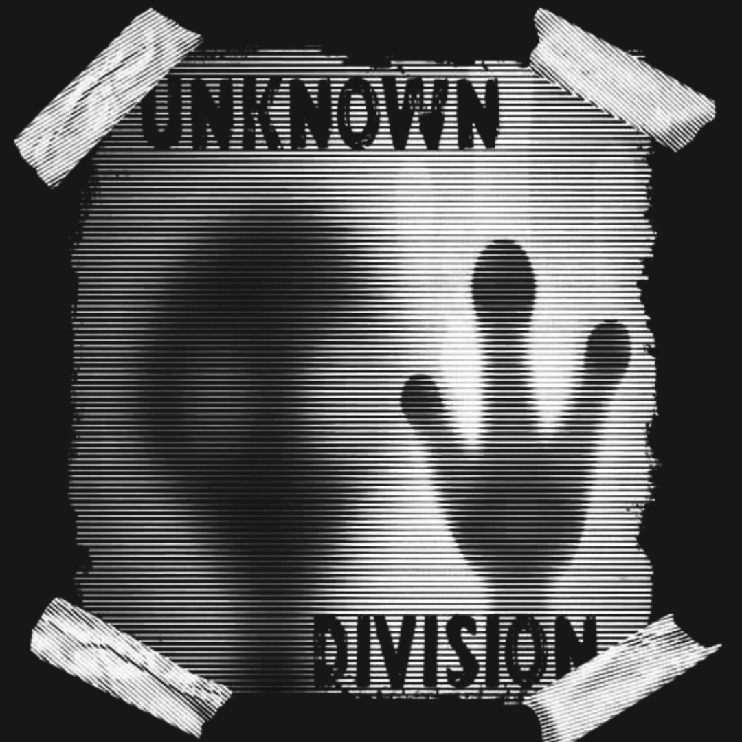 Mens-oversized-unknown-division-glitch-front-graphic-tee